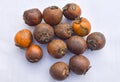 Closeup of Tendu or Diospyros melanoxylon or Persimmon fruit. Royalty Free Stock Photo