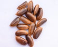 Close up of Tendu or Diospyros melanoxylon or Persimmon fruit seeds. Royalty Free Stock Photo