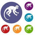Capuchin monkey icons set