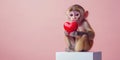 Capuchin monkey playfully holding a red heart on pastel background Royalty Free Stock Photo