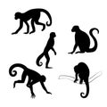 Capuchin monkey vector silhouettes