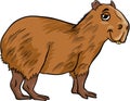 Capybara animal cartoon illustration