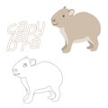 Capybara coloring book vector illustration flat style profile side