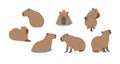 capybara cute 1