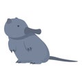 Capybara desman icon cartoon vector. Shrew mammal