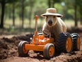 Capybara farmer drives mini tractor