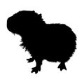 Capybara Hydrochoerus hydrochaeris Silhouette, semi-aquatic rodent that is found inhabiting the water-logged regions