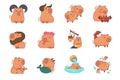 Capybara icon set zodiac signs astrology