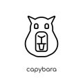 Capybara icon. Trendy modern flat linear vector Capybara icon on