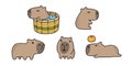 capybara icon vector shower smile sleeping pet cartoon character logo symbol illustration clip art isolated
