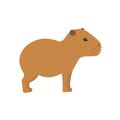 Capybara illustration