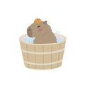 Capybara rests in the bathtub with an orange