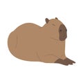 capybara single 4