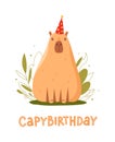 Capybara sit in a party hat, lettering capybirthday, greeting card