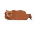 Capybara sleeping. rodent sleeping. Animal vector illustration Royalty Free Stock Photo