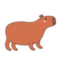 Capybara standing icon. Cute cartoon kawaii funny baby character. Childish style. Water pig. Smiling face head. Sticker print,