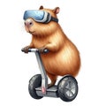 capybara standing on a segway Royalty Free Stock Photo