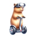 capybara standing on a segway Royalty Free Stock Photo