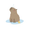 Capybara takes a shower with a rubber duck