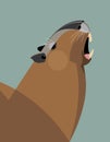 Capybara yawns Royalty Free Stock Photo