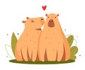 Capybaras kissing, love illustration, isolated cute rodent characters