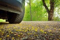 Car on asphalt road in spring Royalty Free Stock Photo