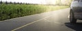 Car on the asphalt road on a summer day in the park. Panorama of transport on the road