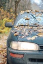 Car in the autumn forest Royalty Free Stock Photo