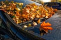 Car Autumn Leaves Wipers Hood Automotive Detail Body Fall Orange