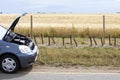 Car Broken Down in Countryside Royalty Free Stock Photo