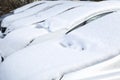 Car buried under snow Royalty Free Stock Photo