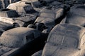 Car cemetery Royalty Free Stock Photo
