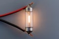 Car classic halogen bulb. Filament, glass and metal, high energy consumption. Gray background. interior lighting. energized,