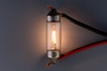 Car classic halogen bulb. Filament, glass and metal, high energy consumption. Gray background. interior lighting. energized,