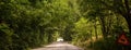 Car on a countryside road, drive on straight asphalt under the trees. Warning sign for cow. Greece Royalty Free Stock Photo