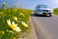 Car and daisies on the road Royalty Free Stock Photo