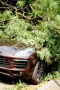 Car destroyed by a fallen tree during hurricane Royalty Free Stock Photo