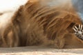 Car drive in desert auto, sand,  adventure power Royalty Free Stock Photo