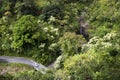 Car Drives along One Lane Road in Jungle with Waterfall Royalty Free Stock Photo