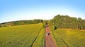 Car drives on the road between two big fields with green wheat. Aerial. Royalty Free Stock Photo