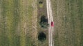 Car drives on the road between two big fields with green wheat. Agriculture landscape. Royalty Free Stock Photo