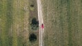 Car drives on the road between two big fields with green wheat. Agriculture landscape. Royalty Free Stock Photo