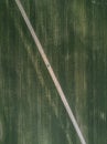 Car drives on the road between two big fields with green wheat. Royalty Free Stock Photo