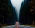 A car driving down a winding road through a dense forest with tall trees on either side of the road.