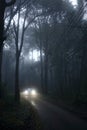 Car driving through fog in forest Royalty Free Stock Photo