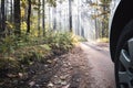 Car driving on the forest mud road. Fresh early morning mist in the forest. Royalty Free Stock Photo