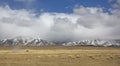 Car driving in a landscape of Western Mongolia