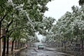 Car driving on road during snow storm Royalty Free Stock Photo