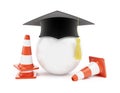 Car driving schools, traffic cones, road construction