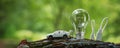 Car EV electric vehicle lamp and charging from natural energy